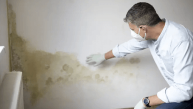 Our Trusted Mold Inspection Services